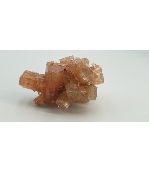Aragonite orange complex