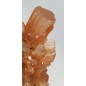 Aragonite orange complex