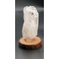Danvouritis Crystal