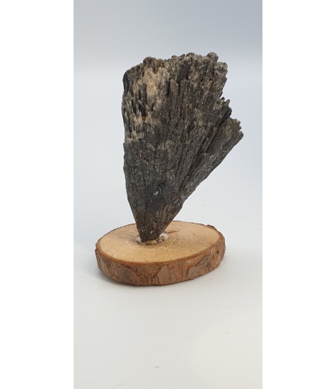 Black Cyanite crystal