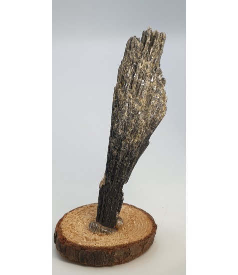 Black Cyanite crystal