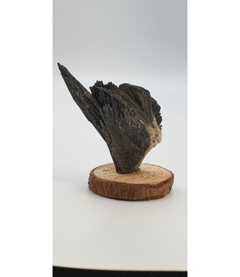 Black Cyanite crystal