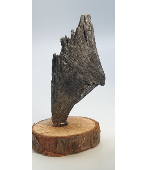 Black Cyanite crystal