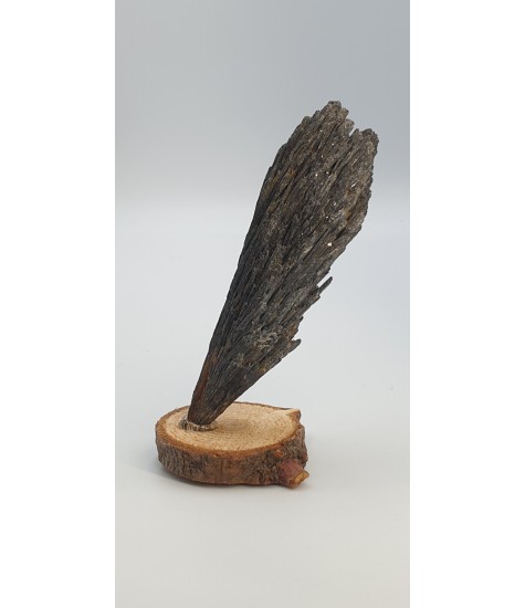 Crystal Mavrou Cyanite