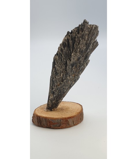 Black Cyanite crystal