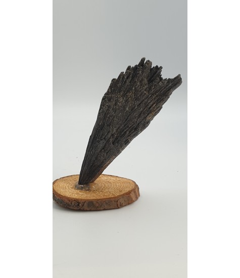 Black Cyanite crystal