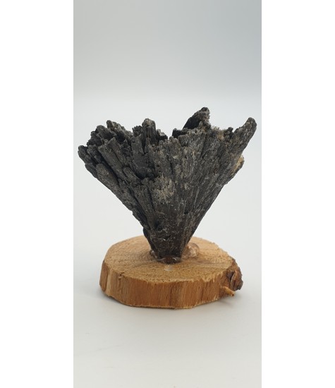 Black Cyanite crystal