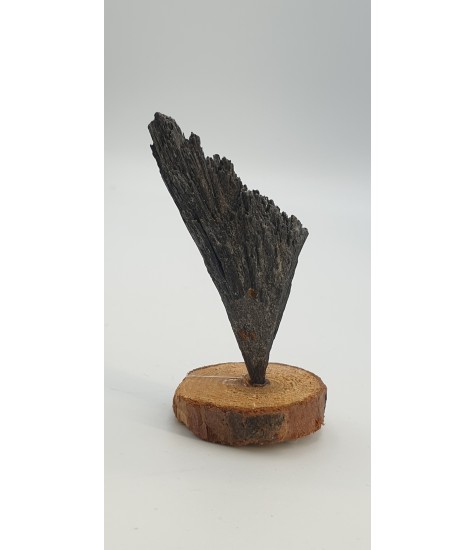 Black Cyanite crystal