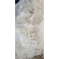 Aragonite White Complex