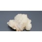 Complex of white Aragonite