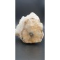 Complex of white Aragonite