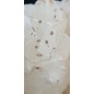 Complex of white Aragonite