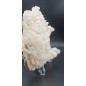 Complex of white Aragonite