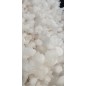Complex of white Aragonite