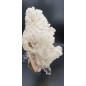 Complex of white Aragonite