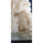Complex of white Aragonite