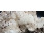 Complex of white Aragonite