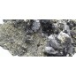 Galenite complex with Sfalerite, Sidiropyrite and Chlorinated Quartz