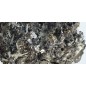 Galenite complex with Quartz and Sidiropyrite