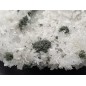 Quartz complex with Chlorite