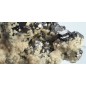 Galenite complex with Calcite