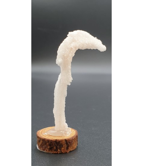 Selenite in Ram's Horn form