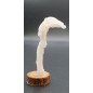Selenite in Ram's Horn form