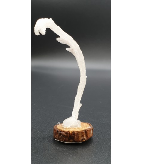 Selenite in Ram's Horn form