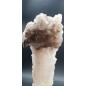 Selenite in Ram's Horn form