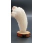 Selenite in Ram's Horn form