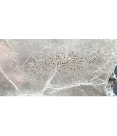 Κρύσταλλος Σελενίτη