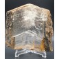 Selenite crystal with Leimonite