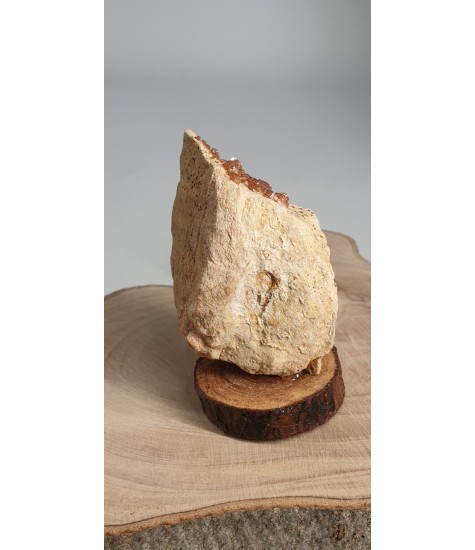 Σύμπλεγμα Βαναδινίτη