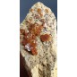 Vanadinite Complex