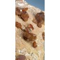 Vanadinite Complex