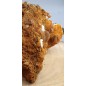 Botryoid Smithsonite with Selenite (Gypsum)