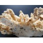 Quartz complex with Dolomite