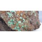 Green Adamite complex