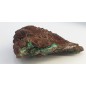 Green Adamite Complex