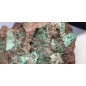 Green Adamite Complex