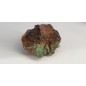 Green Adamite complex