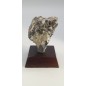 Magnetite Complex