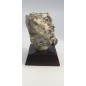 Magnetite Complex