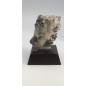 Magnetite Complex