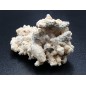 Quartz complex with Dolomite