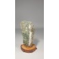 Agate of Moss on a base