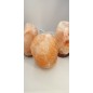 Lights from Himalayan Salt 2-3kg