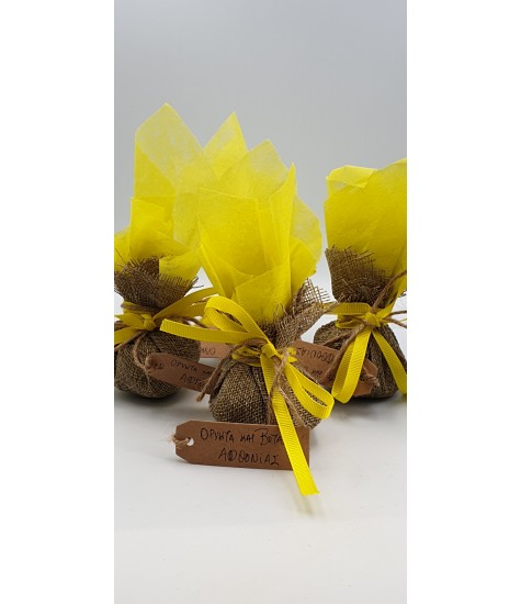 Ενεργειακό Πουγκί Αφθονίας