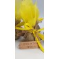 Energy Pouch Abundance