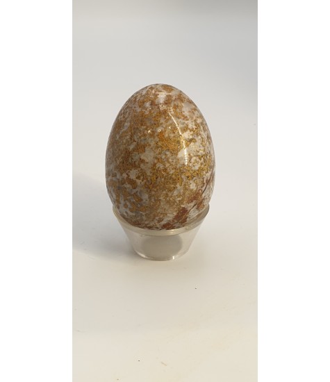 Crystal egg Iasppi coffee